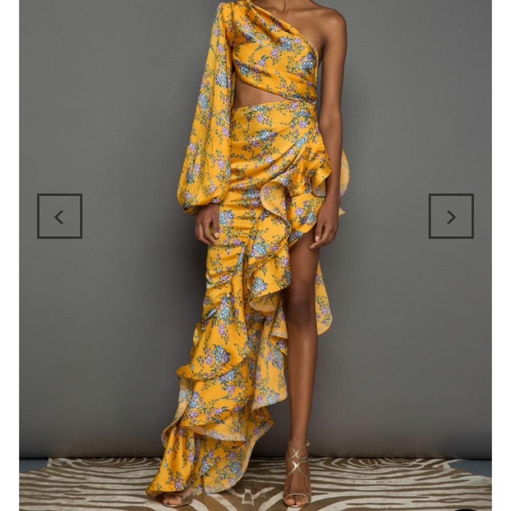 Bronx and Banco Hanna Gown XS